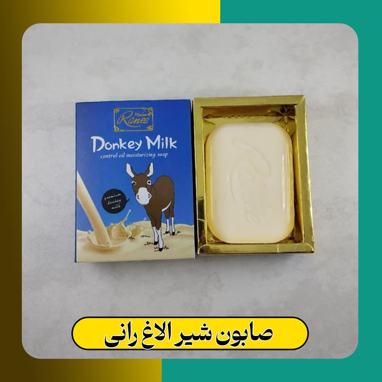 صایون شیرالاغ رانی
