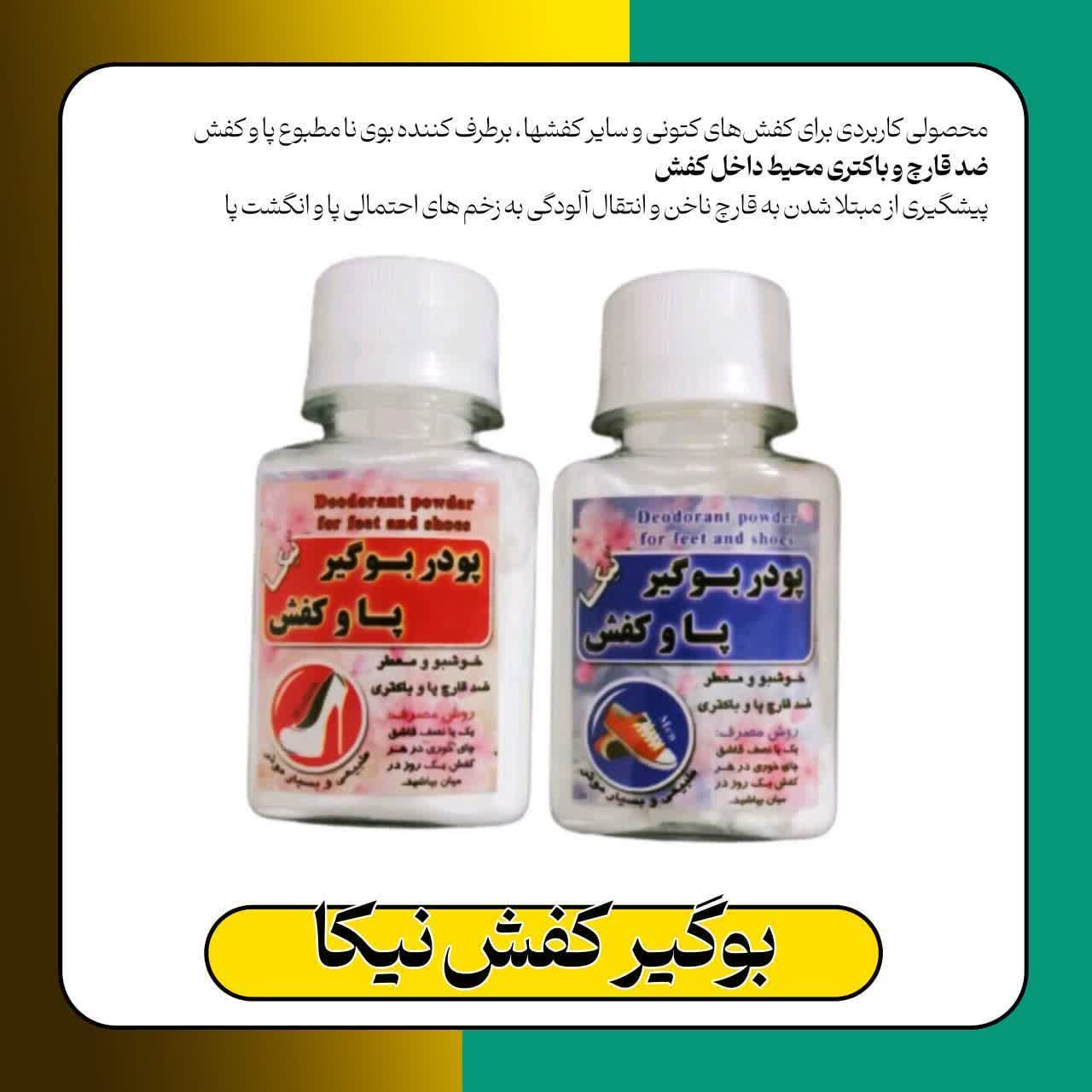 بوگیر کفش